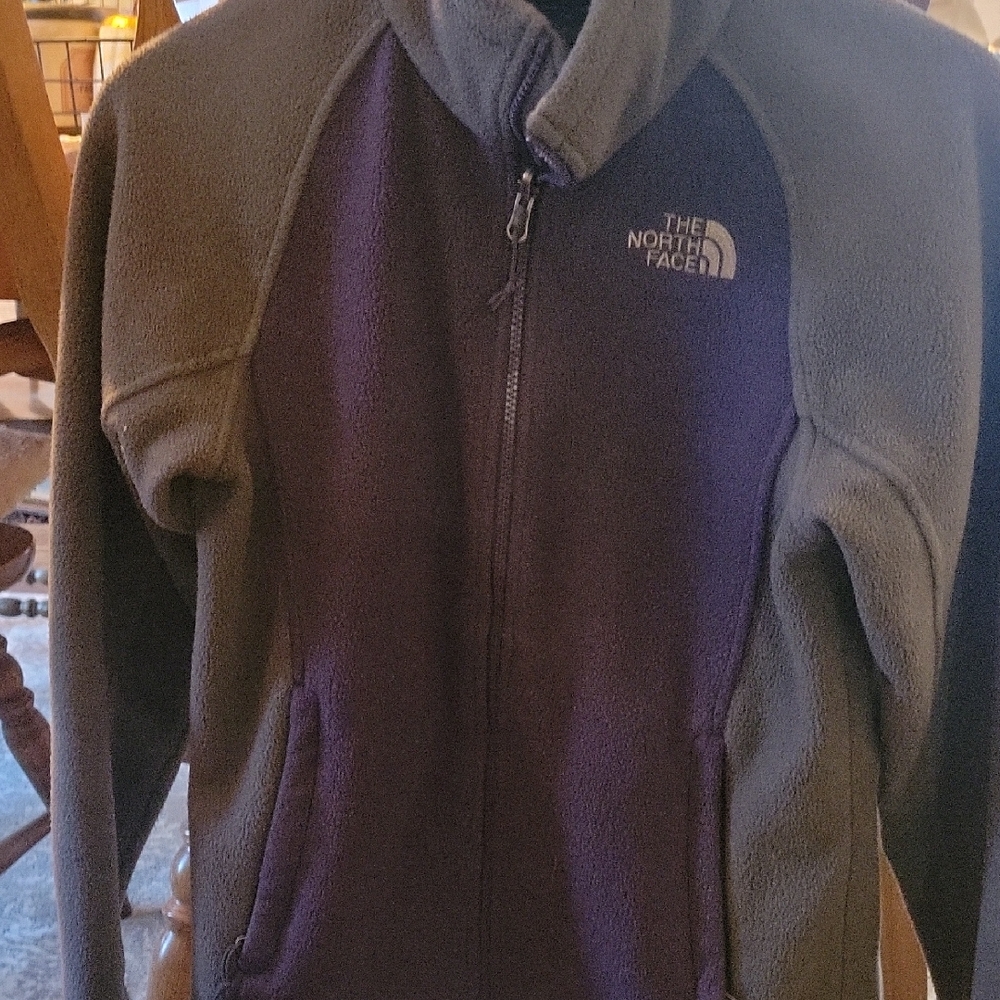 The North Face Two-Tone Fleece Jacket